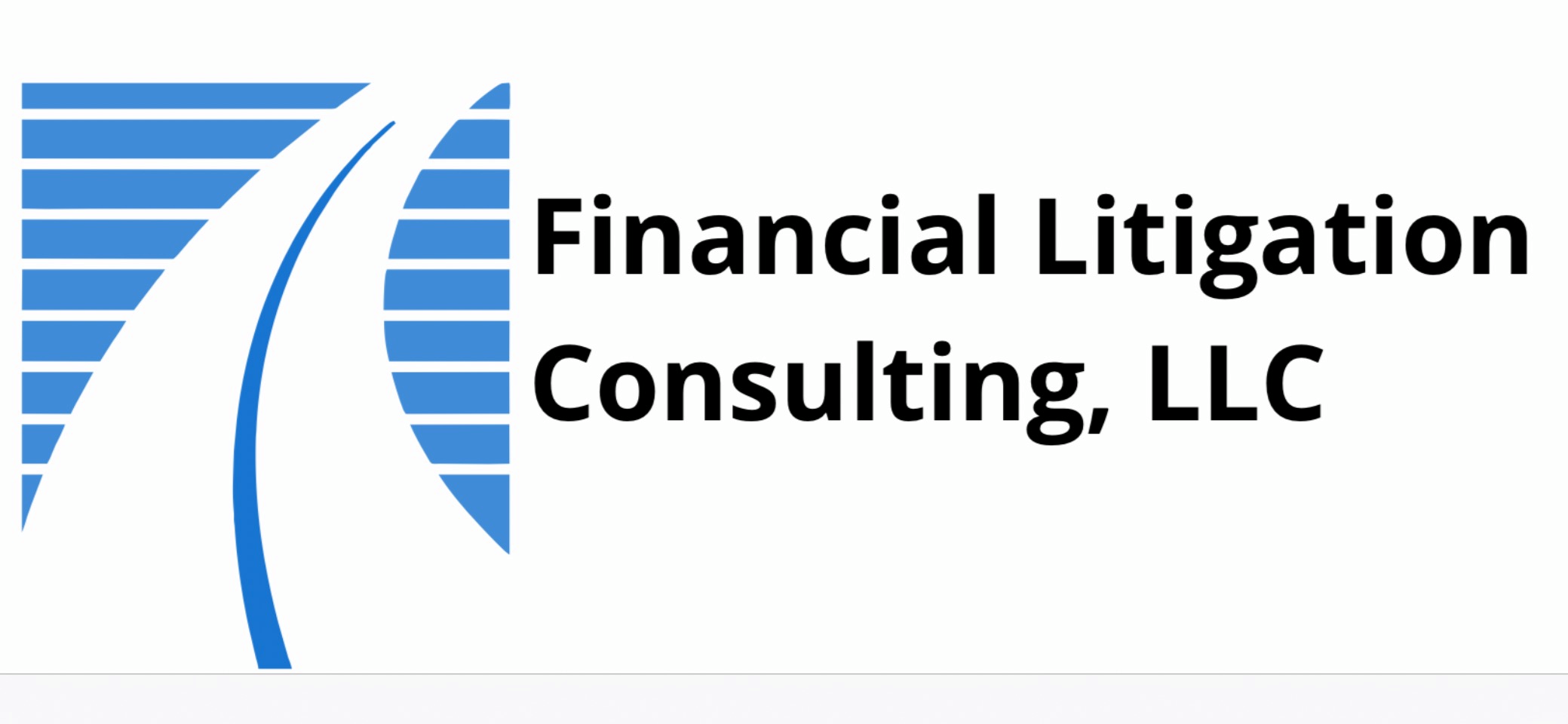 Financial Litigation Consulting, LLC